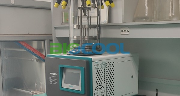中国疾控中心病毒病所采购MK体育直播app官方版
Lab-1D-50冻干机