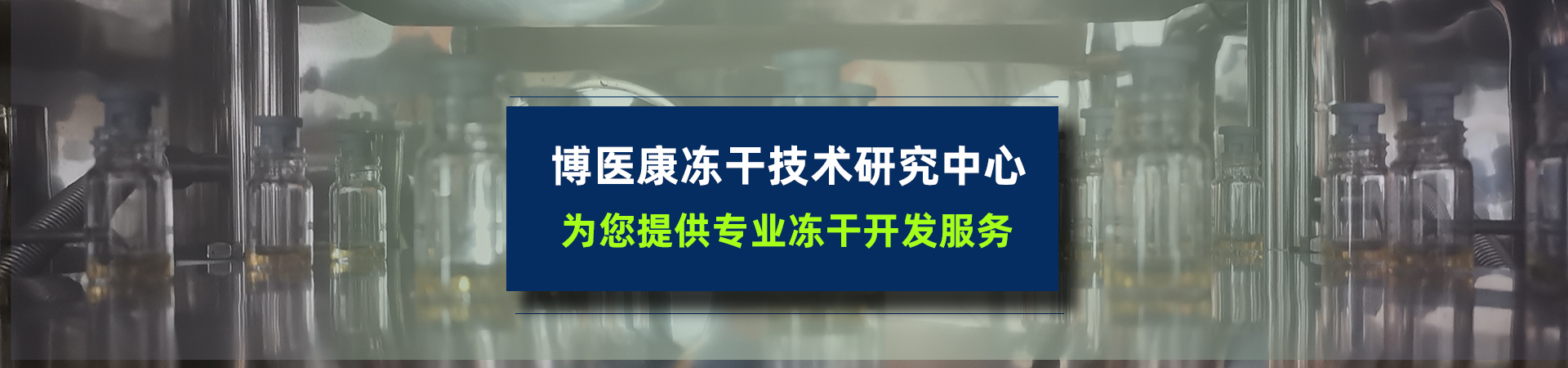 技术服务